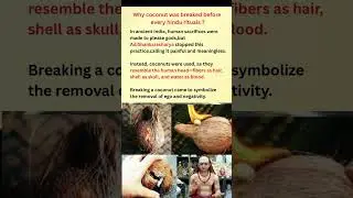 Why coconut was breaked before every hindu ritual ✨✨ #youtubeshorts #spiritualhealing