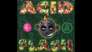 Acid Flash Vol.2