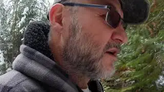 Forest Walk With Dog ~ Cleansing of the Mind
