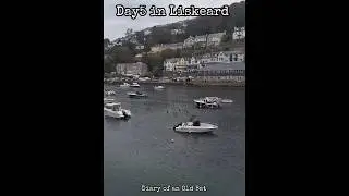 Day5 of our Liskeard break. #new #shorts #short #reels #cornwall #shortsfeed