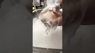 Warm water Rinse