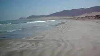 Flamenco, Chile