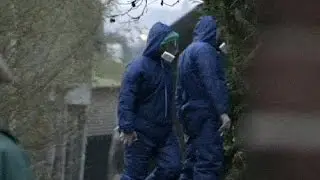 Second case of bird flu confirmed in The Netherlands