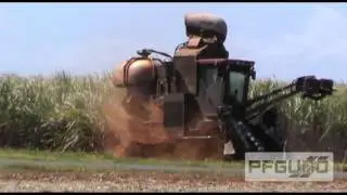 Cane Harvesting And Cane Trains [SD]