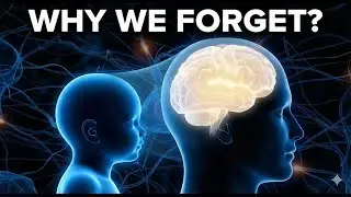 Why Humans Can&rsquo;t Remember Being Babies | Science of Infant Memory Explained