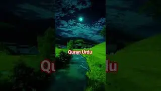 Quranforever ❤️ #love #quran #quranforever #quranverses #videos #viralvideo