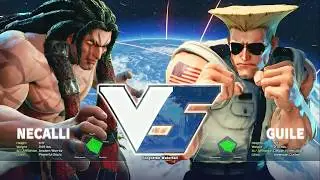 SFV - EVO 2017 - Pools - Daigo (Guile) Vs Haitani (Necalli)