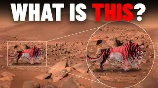 Scientists New Discovery On Mars SHOCKS Elon Musk: 