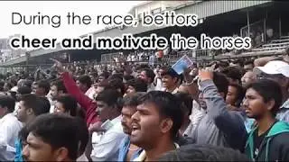 Horse racing in India- Betting and lot more!