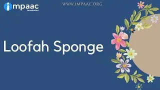 Loofah Sponge - A Sustainable Swap♻️