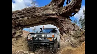 I took my Land Cruiser through Cedar Tree Trail & had to use my winch!