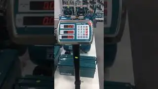 Total electronic scale 300kg