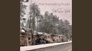 Pink Stone Road