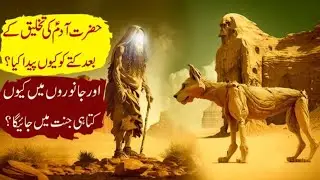 Hazrat Adam ki Paidaish ka Waqia | Kutte ki Paidaish Kaise Hui | insan K jism Mae naaf qu h