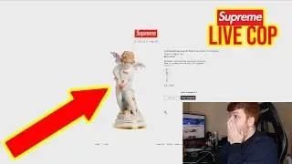 Supreme SS19 Week 3 Live Cop - Supreme Cupid (Manual Checkout)