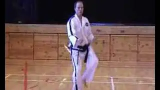 Moon Moo Taekwon-Do ITF pattern