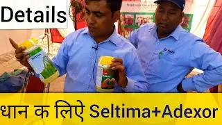 #Part5 BASF Adexor and seltima Fungicide for paddy (Patiala Kisan mela 19.03.2018)