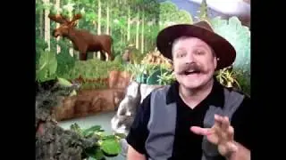 Tiny Tim (I Had a Little Turtle) Sing-along at Treehouse Museum