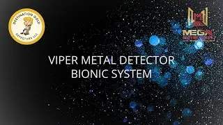 Viper Metal Detector | Bionic System