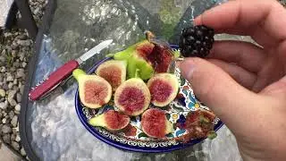 Fall Fruitarian Breakfast