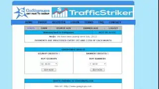 Explain the company gosignups + How to Date + access to the account + P Money