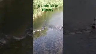 Agawam Tribal Fish Weir/Trap Found on River #colonialhistory #nativeamerican #naturalhistory