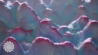 Hypatia - Unique Melt