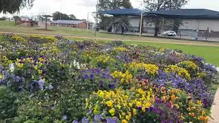 Leslie Park, Warwick, Australia 🇦🇺 