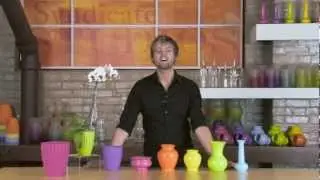The Popsicle Assortment