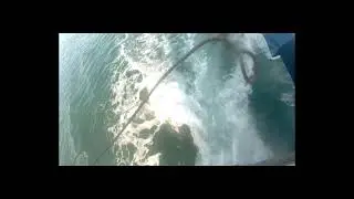 Whelk Fishing