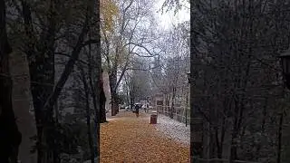 Walking in an autumn in the Iranian city of Rasht, strange but real snowfall#shortsfeed #snowfall
