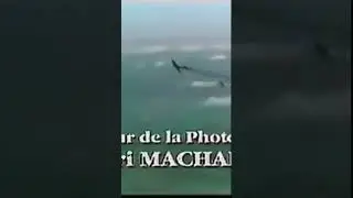 LES EPEES DE DIAMANT abonne toi #vhs #filmcomplet #luftwaffe #ww2 #guerre #aviation #messerschmitt