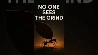 The Ant Mentality #ants #shorts