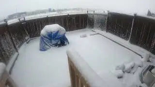 snow fall day 2024