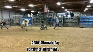 Lot E 228W Alternate Days