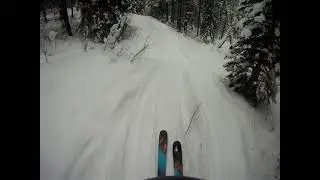 Wild Thing (New for 2021) - Panorama Resort, BC
