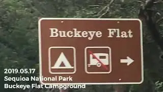 Buckeye Flat Campground//See All Sites//Sequoia National Park