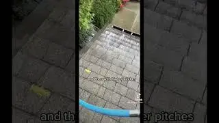 How long for Moss Treatment Results? | Seattle ProWash Roof Cleaning #roofcleaning #softwashing