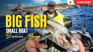 EPIC session on STONKA FISH! 😱🎣