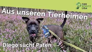 Tierschutzliga - Diego sucht Paten