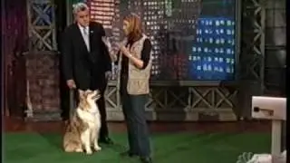 Ginger the Wonder Dog and Michelle Boardman on Jay Leno