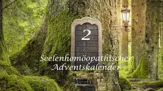 T&uuml;r 2 - Pulsatilla vulgaris - Seelenhom&ouml;opathischer Adventskalender