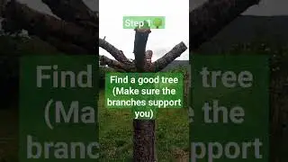Make a treehouse with me! Part 1 #therian #therianthropy