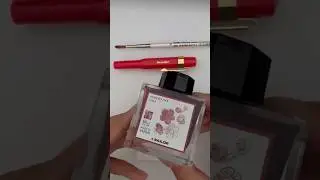 INK SWATCH - SAILOR MANYO INK &bdquo;UME&ldquo; #inkswatch #inkswatches #inktober #ink #inklove #sailormanyo