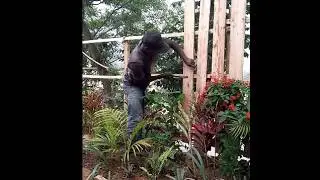 &ldquo;Building a Wooden House (Pourache) in a Beautiful Garden | Clean Nailing Work&rdquo;