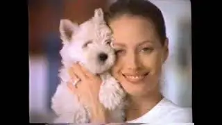 1997 Maybelline Great Wear Makeup 
