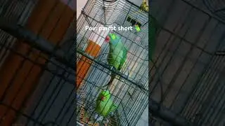 short #viral short #marru short #youtube short #trending short #most #viral #short