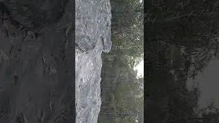Australian bush sounds before sunset