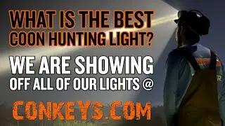 What is the Best Coon Hunting Light? We Are Here to Help!