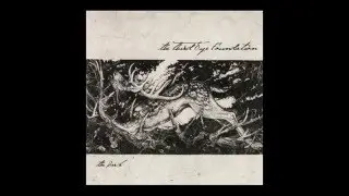 The Third Eye Foundation - The Dark (Full Album)